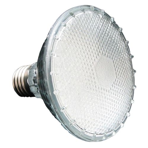 Lightbulb PAR30, 2.5W replaces >20W